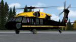 Cera Sim H-60 US Army VIP Gold Top Textures
