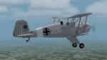 Bucker Bu 133 Jungmeister Luftwaffe