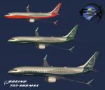 TDS B737-900 Max9 for PMDG 737 VC users