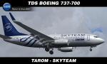 Tarom SkyTeam Boeing 737-700 - textures