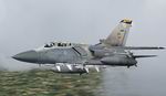FS2004
                  Tornado F3 RAF 111 SQN Photoreal textures