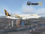 FSX  Enerjet Textures for the Boeing 737-800