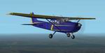 FS2002/2004
                  Cessna 172 Skyhawk Purple and Gold textures
