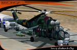 Mil |Mi-24 Hind Guardia Nacional de Venezuela