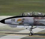 F14D Tomcat  Eagle Textures 