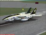 F14 Tomcat VF-33 Textures 