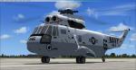 Apollo 11 Recovery Sea King Textures