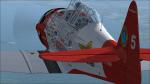 Repaints for FSX T-6 Aeroshell