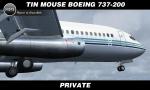 TinMouse Boeing 737-200 - Private N370BC Textures