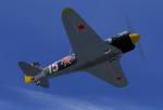 Yak 11 D-FYAK  Textures for FSX and FS9