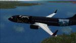 FSX  Boeing 737-400 Thunder and DragonForce Textures