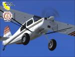 Bellanca Scout Package