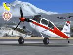 Bellanca Scout Package