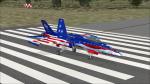 FSX Force Demonstration Team F/A-18C 