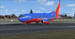 FSX PMDG Boeing 737NGX Southwest blue textures