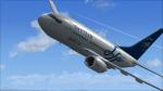 FSX PMDG Boeing 737 NGX Delta Skyteam  textures