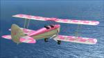 Ant's Tiger Moth Pro Breast cancer awareness textures
