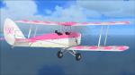 Improvement for Ant's Tiger Moth Breast Cancer Awareness repaint