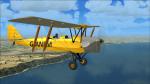 Ant's Tiger Moth Pro G-ANFM Textures