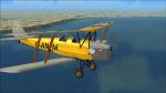 Ant's Tiger Moth Pro G-ANFM Textures