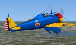 FSX/P3D Boeing Peashooter 20th Pursuit Grp textures