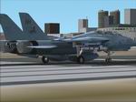 FS2004
                  Fighting 213 "Blacklions" F-14 Tomcat Textures only