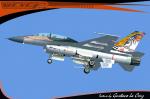 F-16B Fighting Falcon  FAV