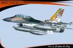 F-16B Fighting Falcon  FAV