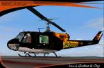 Bell 204B FAV Gº10 Cobras Anniversario