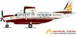 New Mexico Airlines Cessna Caravan 208B Textures