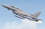 FS2004
                  RAF 29 SQN Typhoon T1 and F2 textures