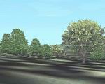 Gerrish's
                  Trees Library for FS2002 (1) Autogen Trees Replacement FS2002
                  Scenery