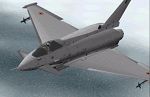 FS2000
                  aircraft & Panel - EUROFIGHTER TYPHOON PACKAGE 