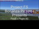 Beechcraft Baron 58 FSX Livery Texture only for FSX