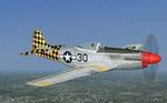 P-51D
                  from the 325th FG.