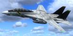F-14 Tomcat Texture Pack 2