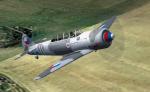 FS2004/FSX Yak 11 (C-11) OK-JZE Textures