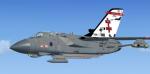 Tornado RAF 41 SQN 95th Textures