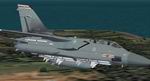 FS2004
                  Tornado F3 RAF 41 sqn Textures only.