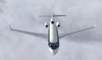 Dassault Falcon 7x Netjets Europe Textures