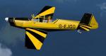 FS 2004 and FSX  Z226T   G-EJGO Textures