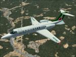 LEAR-45 Alitalia Textures