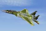 FS2004
                  MDD F-15A Streak Eagle 72-0119 c.1975 Textures Only 