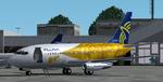FS2004/2002
                  Boeing 737-200 PLUNA