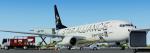 FSX/P3D Boeing 737-800 United Star Alliance package