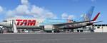 Boeing 767-300 TAM Brasil - Walt Disney World Special theme