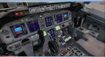 FSX Boeing 737-800 'Skywise' package 