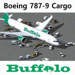 FSX Buffalo Airways Boeing 787-9 Cargo AGS-4Ge LITE.