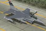 FS2004                   USAF F-16C Fighting Falcon 36th FS/51st FW 89-2020 Textures                   Only
