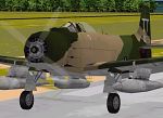 FS98/FS2000
                  Douglas A-1J Skyraider USAF 